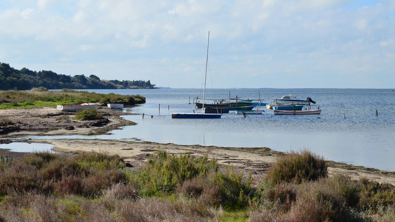 Idyllic landscape featuring boats on Étang de Thau in Balaruc-le-Vieux, Occitanie, France.